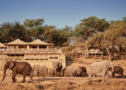 Savute Elephant Lodge - Botswana