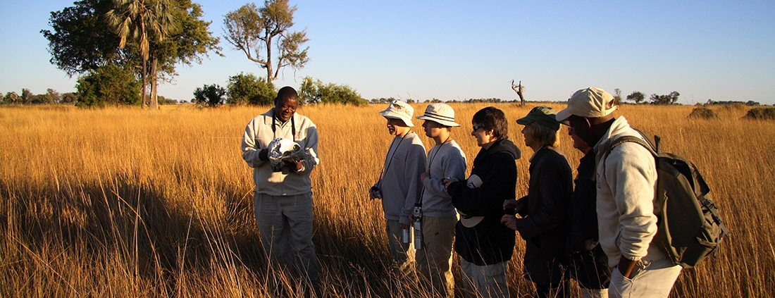 Camp Okavango - Walking safari