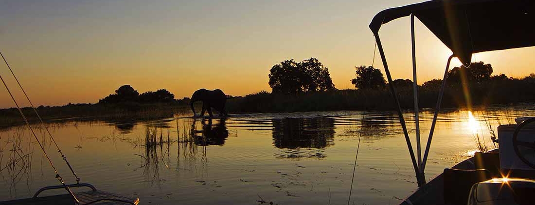 Boat Cruise - Camp Okavango