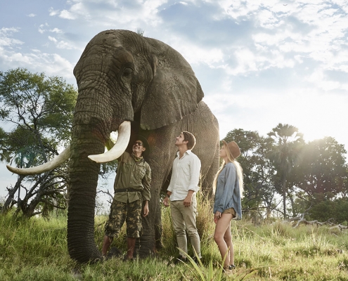 Sanctuary Baines' Camp - Elephant encounter