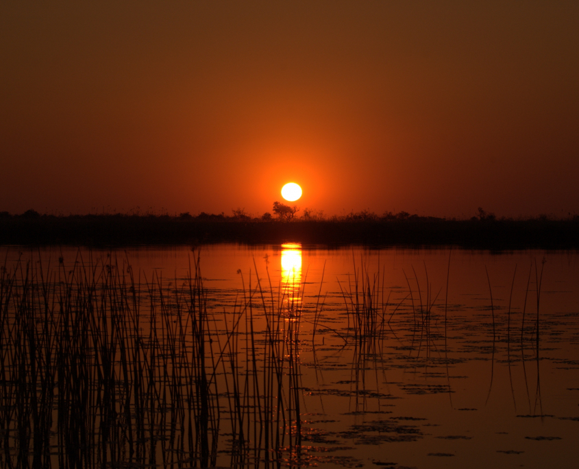 Okavango Delta sunset