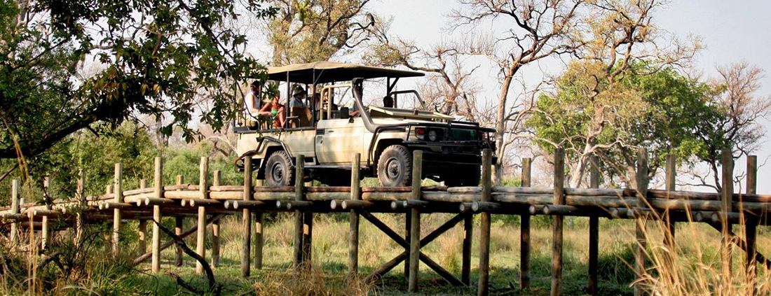 tolv Nøjagtig sig selv Pom Pom Camp - Live Botswana Safaris - Botswana Okavango Delta