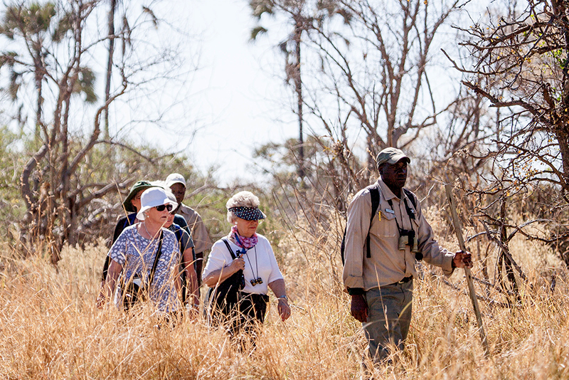 Walking Safaris at Chief's Island
