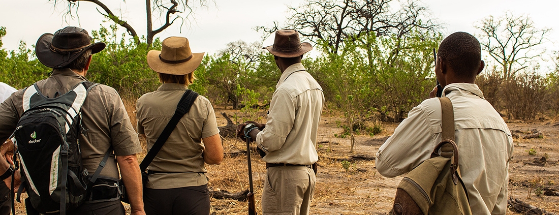 Walking safari - Linyanti Bush Camp