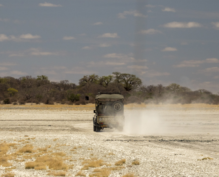 Self-drive safari - Botswana