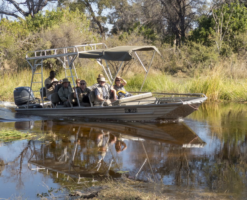 Boating safari - Okavango Delta